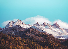 “主场”与“客场”（人民论坛）